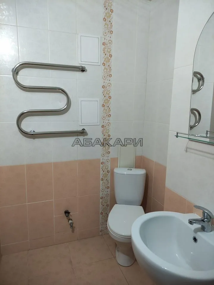 1-комнатная Светлогорская улица, 11А  за 30000 руб/мес фото 10