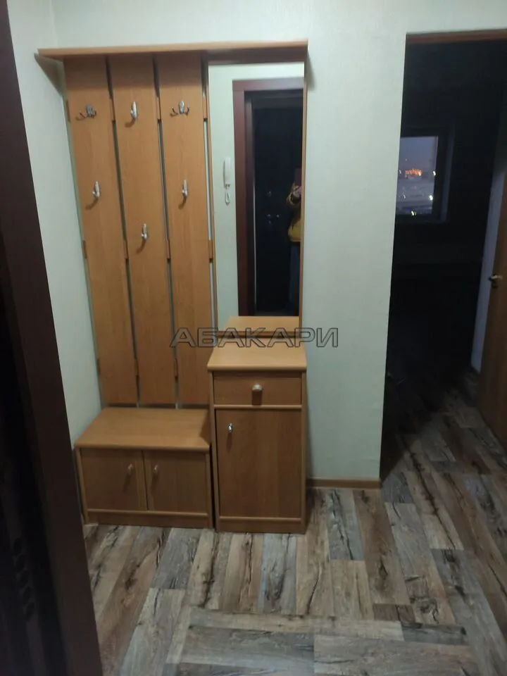 1-комнатная Светлогорская улица, 11А  за 30000 руб/мес фото 11