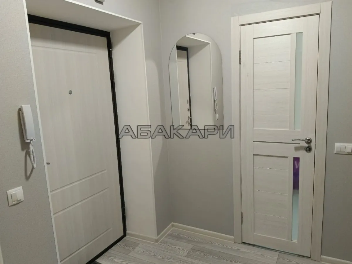 1-комнатная Светлогорский переулок, 12  за 35000 руб/мес фото 15