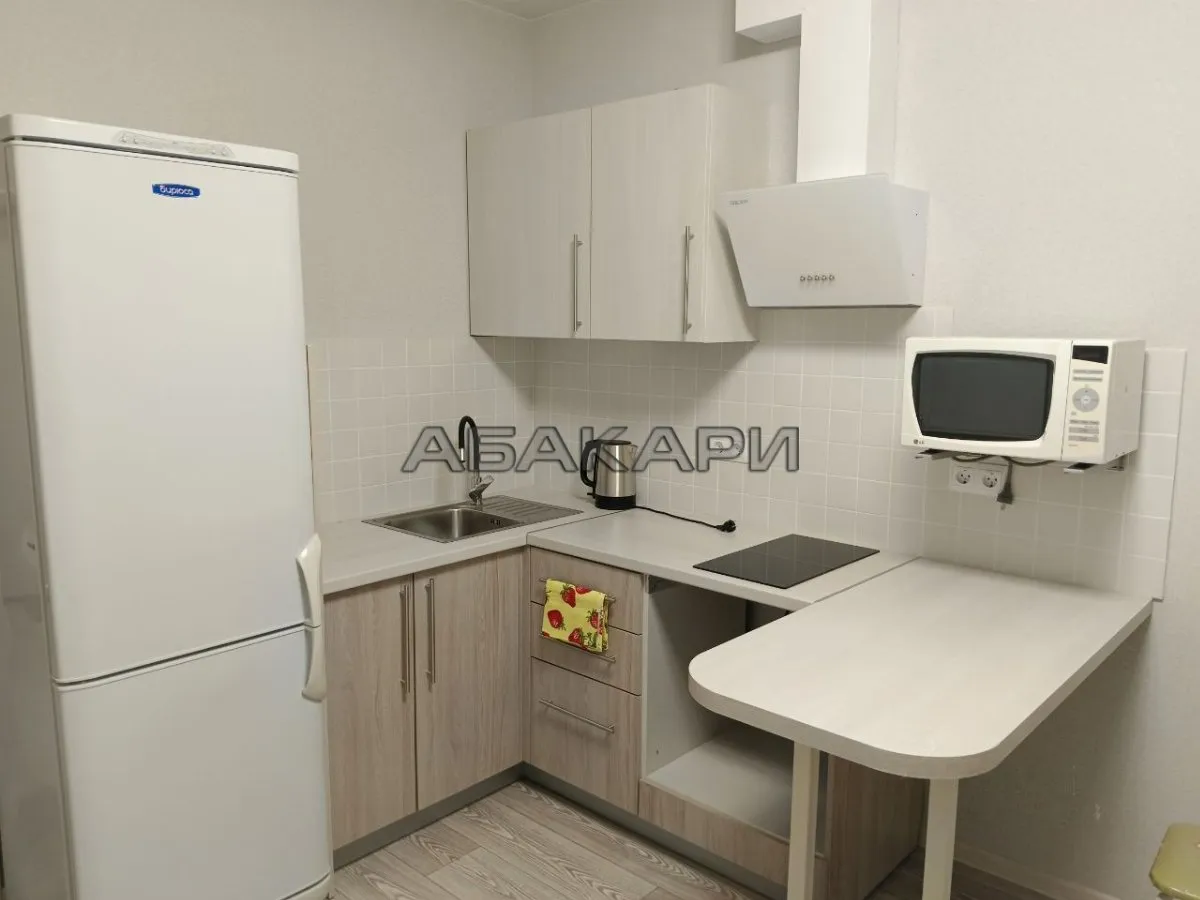 1-комнатная Светлогорский переулок, 12  за 35000 руб/мес фото 2