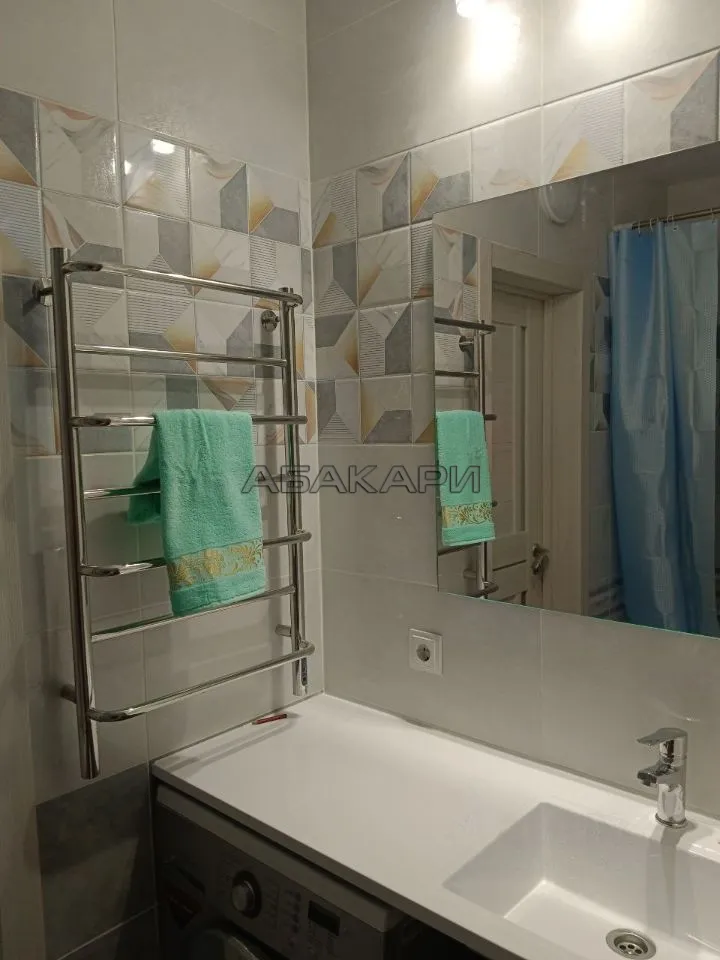 1-комнатная Светлогорский переулок, 12  за 35000 руб/мес фото 16