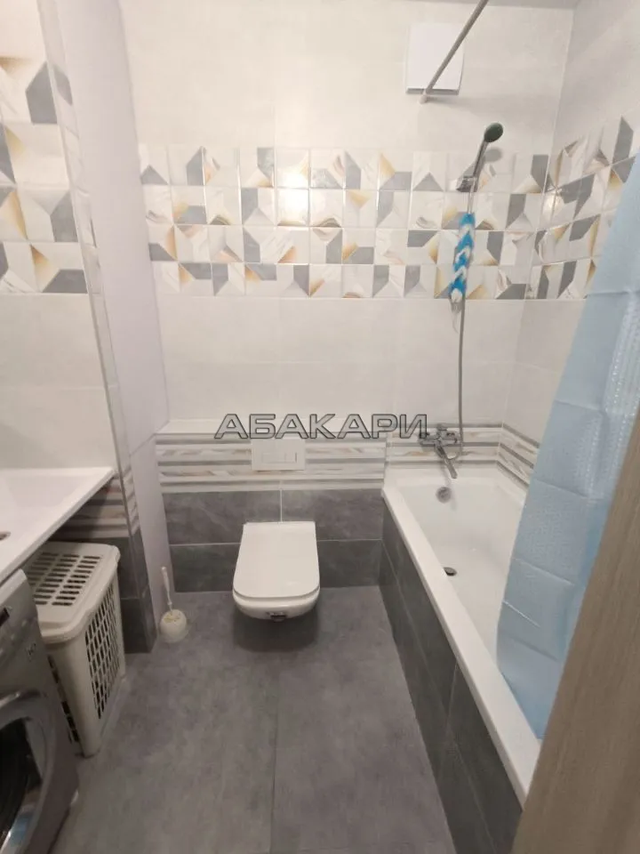 1-комнатная Светлогорский переулок, 12  за 35000 руб/мес фото 18