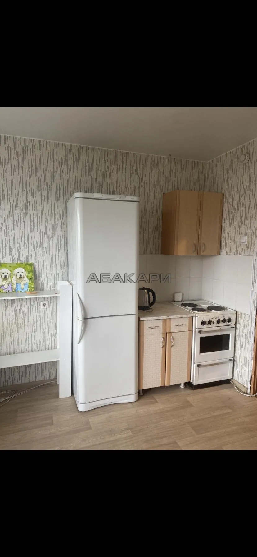 студия улица Серова, 8  за 23000 руб/мес фото 1