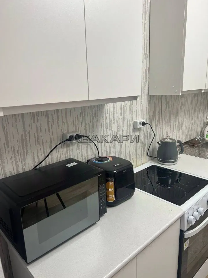 1-комнатная Караульная улица, 39  за 30000 руб/мес фото 4