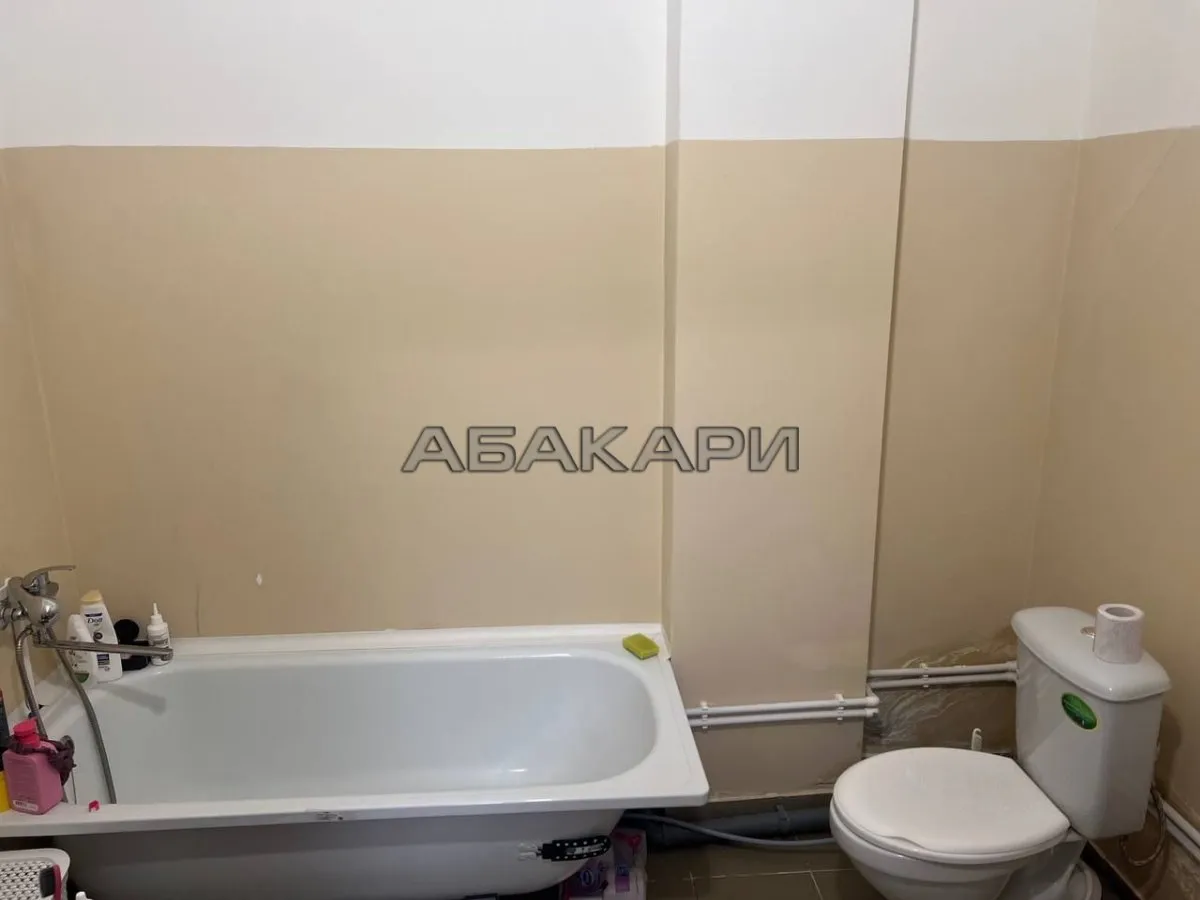 1-комнатная Караульная улица, 39  за 30000 руб/мес фото 12