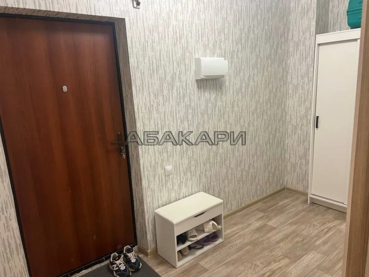 1-комнатная Караульная улица, 39  за 30000 руб/мес фото 13