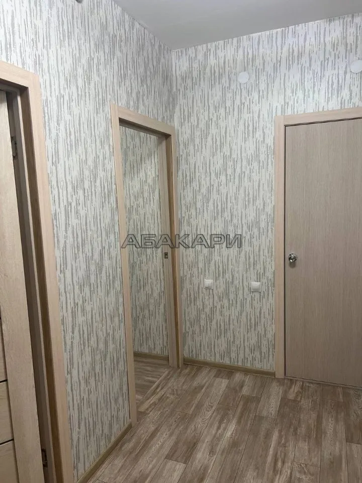 1-комнатная Караульная улица, 39  за 30000 руб/мес фото 15