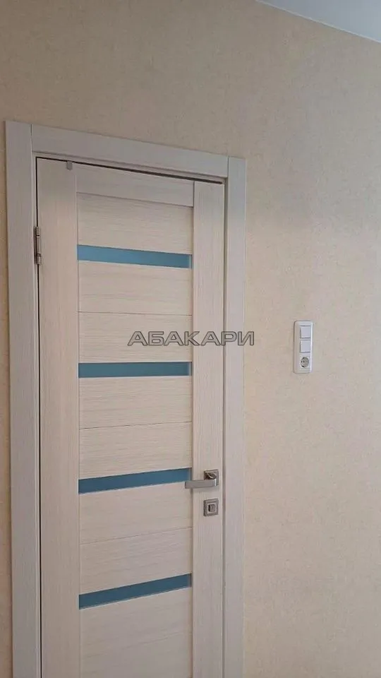 1-комнатная Светлогорский переулок, 2  за 30000 руб/мес фото 7