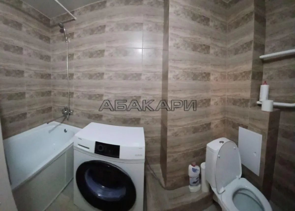 1-комнатная Светлогорский переулок, 2  за 30000 руб/мес фото 9