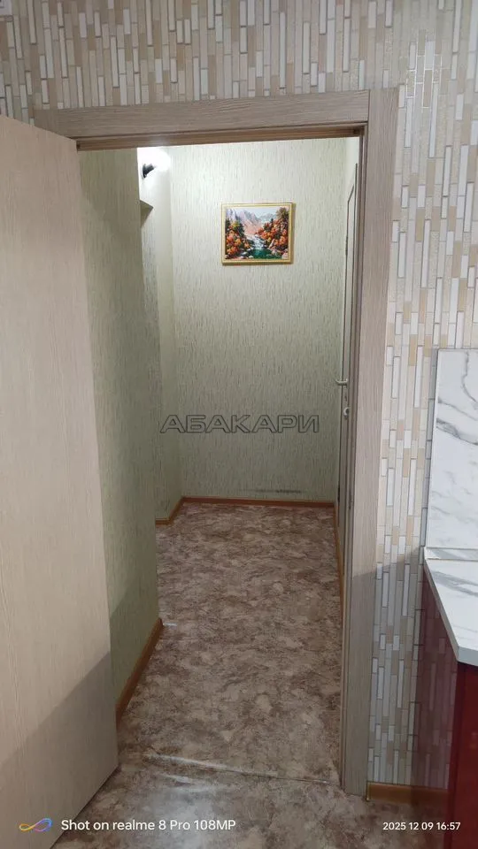 1-комнатная улица Чернышевского, 122  за 37000 руб/мес фото 23