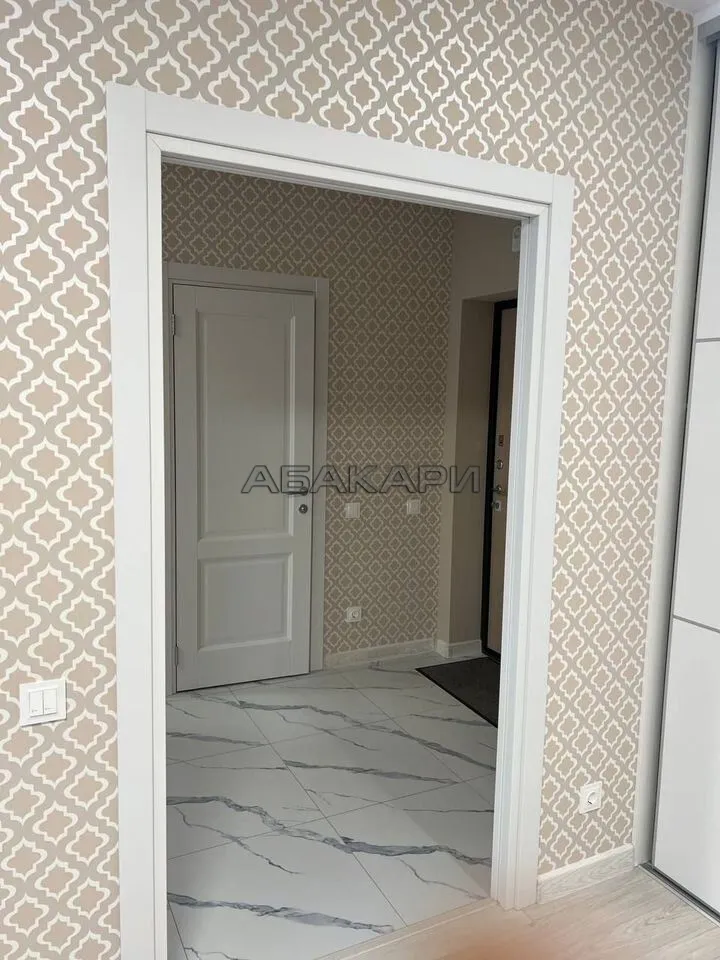 1-комнатная Южная набережная, 10  за 45000 руб/мес фото 15