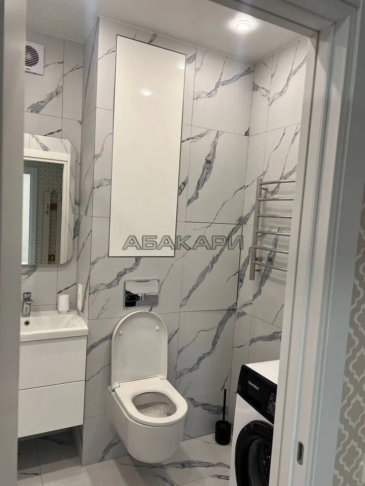 1-комнатная Южная набережная, 10  за 45000 руб/мес фото 28