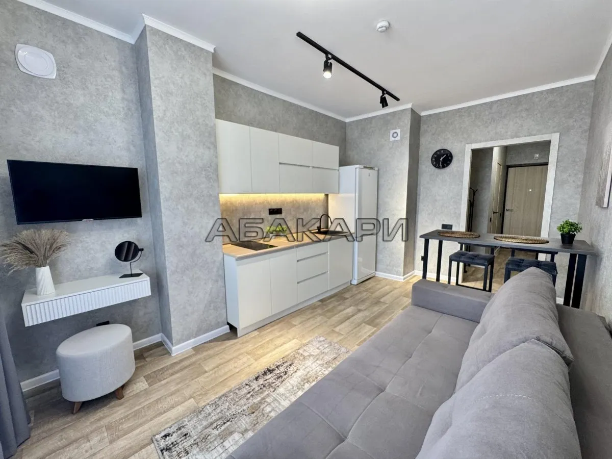 студия Караульная улица, 39А  за 35000 руб/мес фото 1