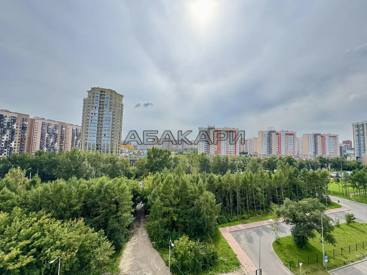 студия Караульная улица, 39А  за 35000 руб/мес фото 11