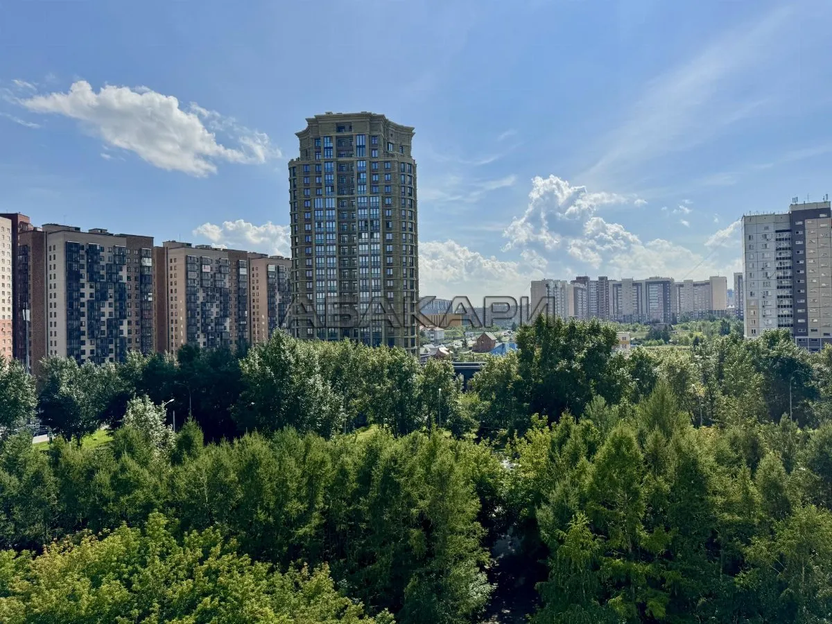 студия Караульная улица, 39А  за 35000 руб/мес фото 12