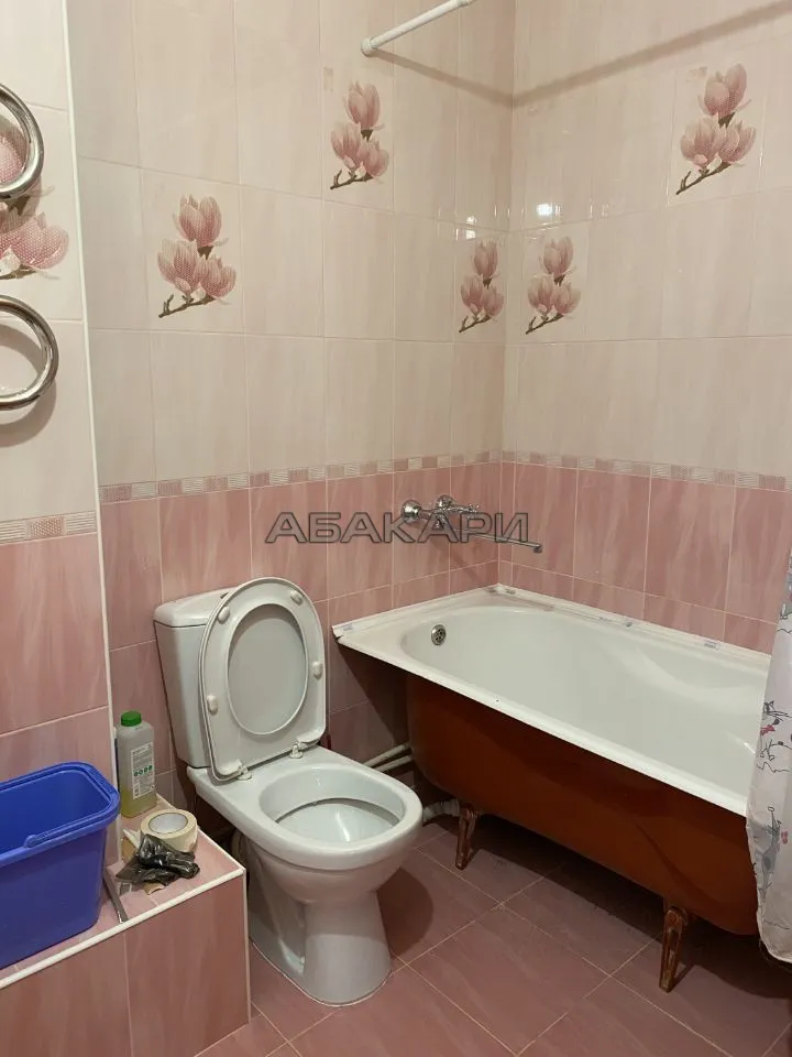 1-комнатная улица Молокова, 1Г за 29000 руб/мес фото 5 1-комнатная улица Молокова, 1Г за 29000 руб/мес фото 5