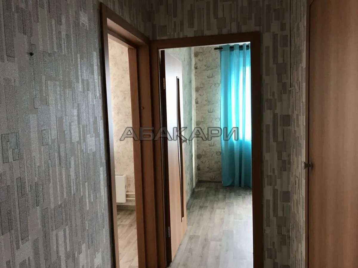 1-комнатная улица Молокова, 1Г  за 29000 руб/мес фото 6