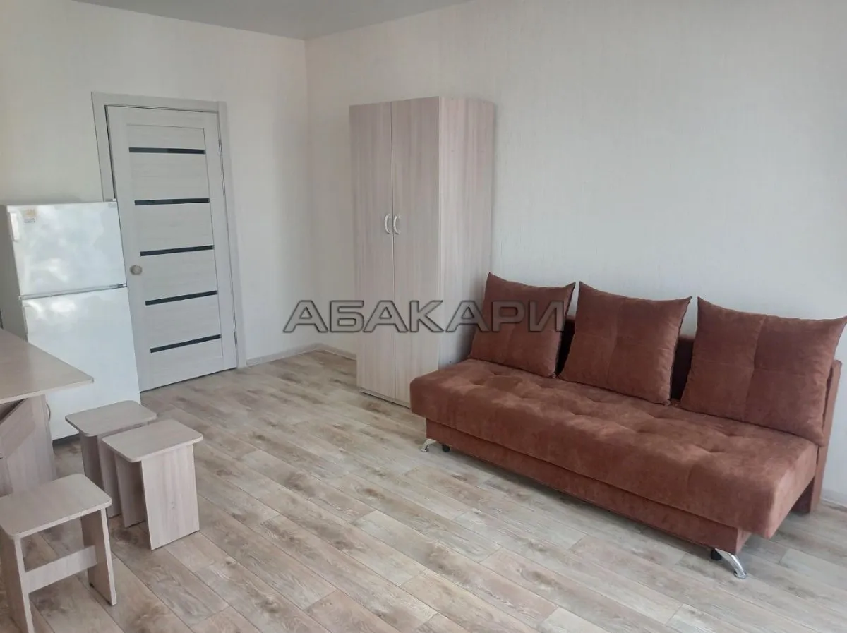 студия улица Петра Подзолкова, 24  за 27000 руб/мес фото 2