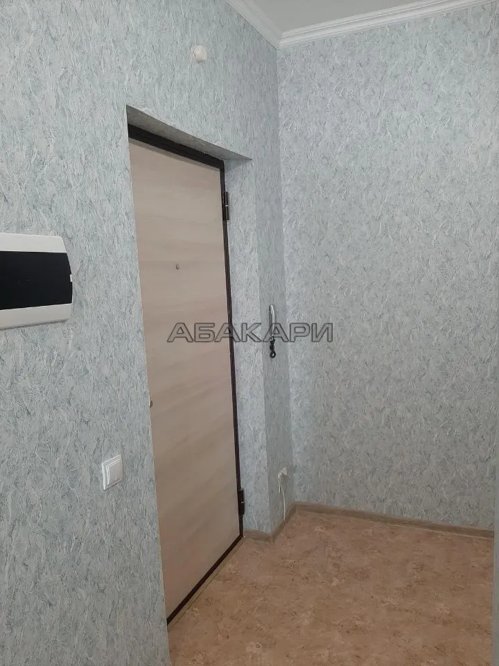 студия 1-я Хабаровская улица, 7  за 27000 руб/мес фото 10