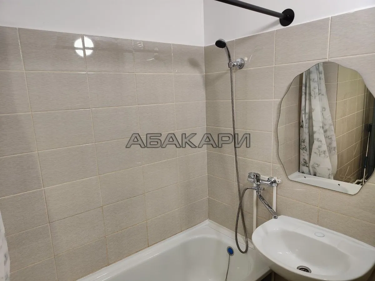 1-комнатная Светлогорский переулок, 12А  за 30000 руб/мес фото 8