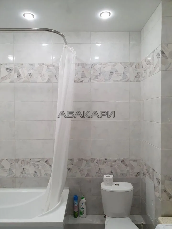 1-комнатная улица Петра Подзолкова, 3И  за 35000 руб/мес фото 6