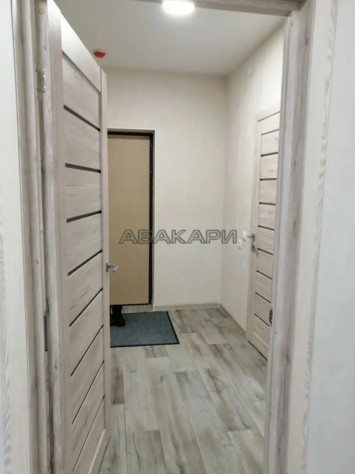 1-комнатная Светлогорский переулок, 14 за 30000 руб/мес фото 9 1-комнатная Светлогорский переулок, 14 за 30000 руб/мес фото 9