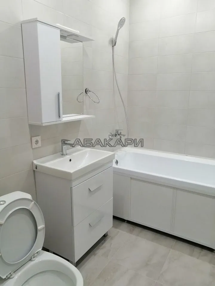 1-комнатная Светлогорский переулок, 14 за 30000 руб/мес фото 11 1-комнатная Светлогорский переулок, 14 за 30000 руб/мес фото 11