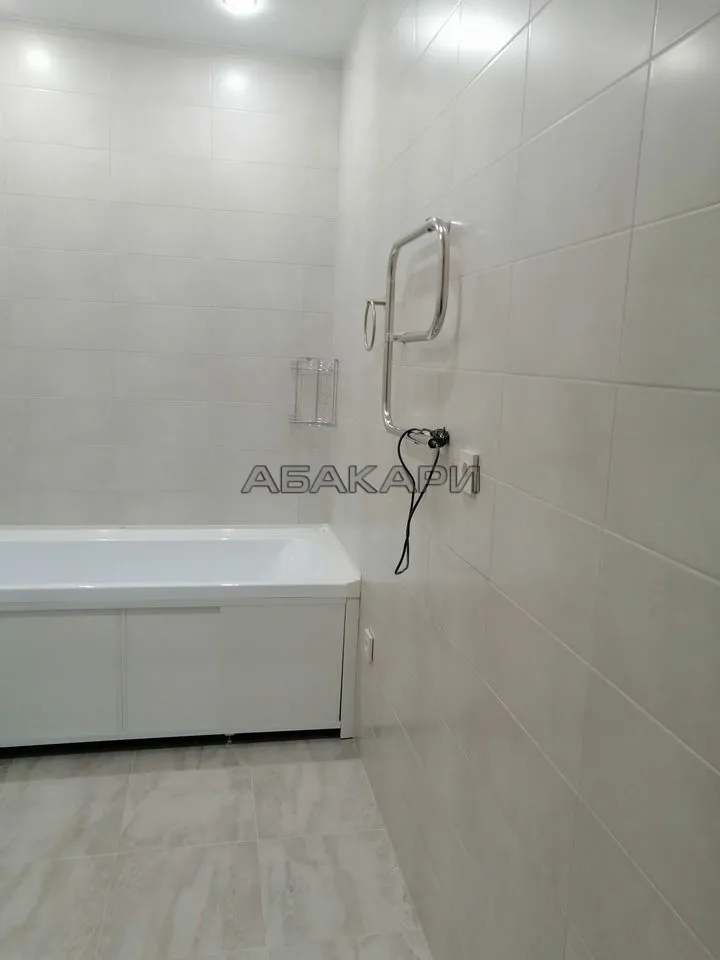 1-комнатная Светлогорский переулок, 14  за 30000 руб/мес фото 12