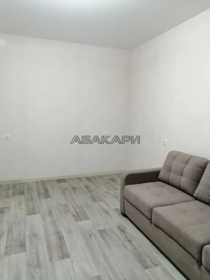 1-комнатная Светлогорский переулок, 14 за 30000 руб/мес фото 4 1-комнатная Светлогорский переулок, 14 за 30000 руб/мес фото 4