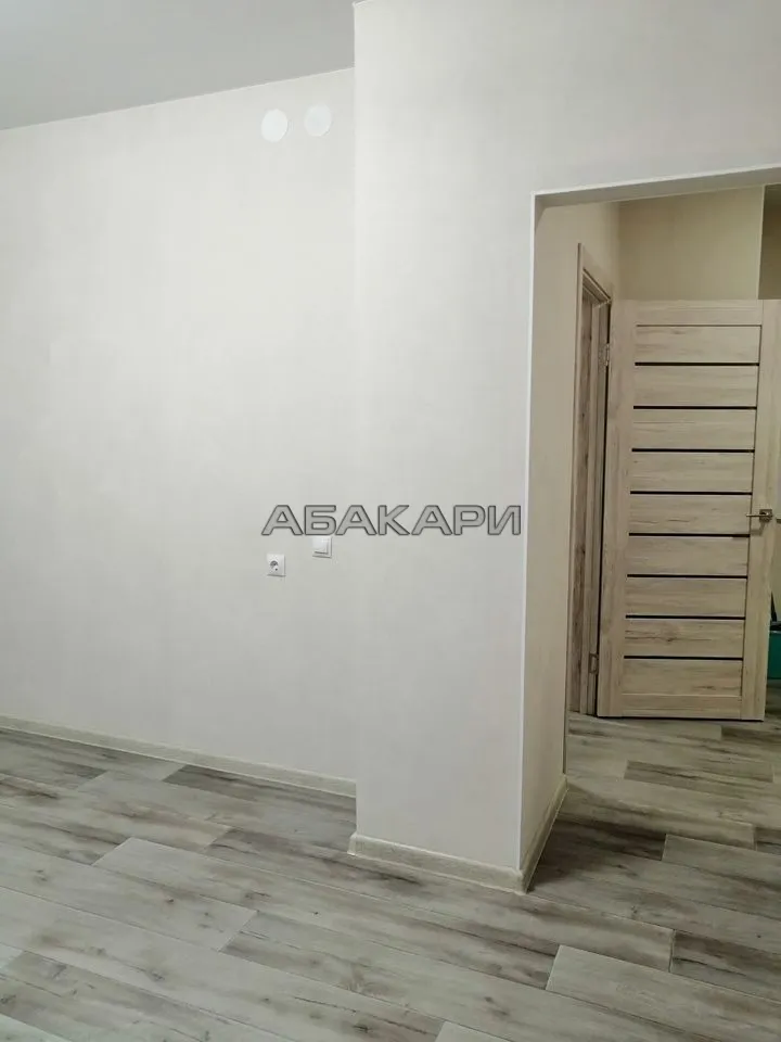 1-комнатная Светлогорский переулок, 14 за 30000 руб/мес фото 6 1-комнатная Светлогорский переулок, 14 за 30000 руб/мес фото 6