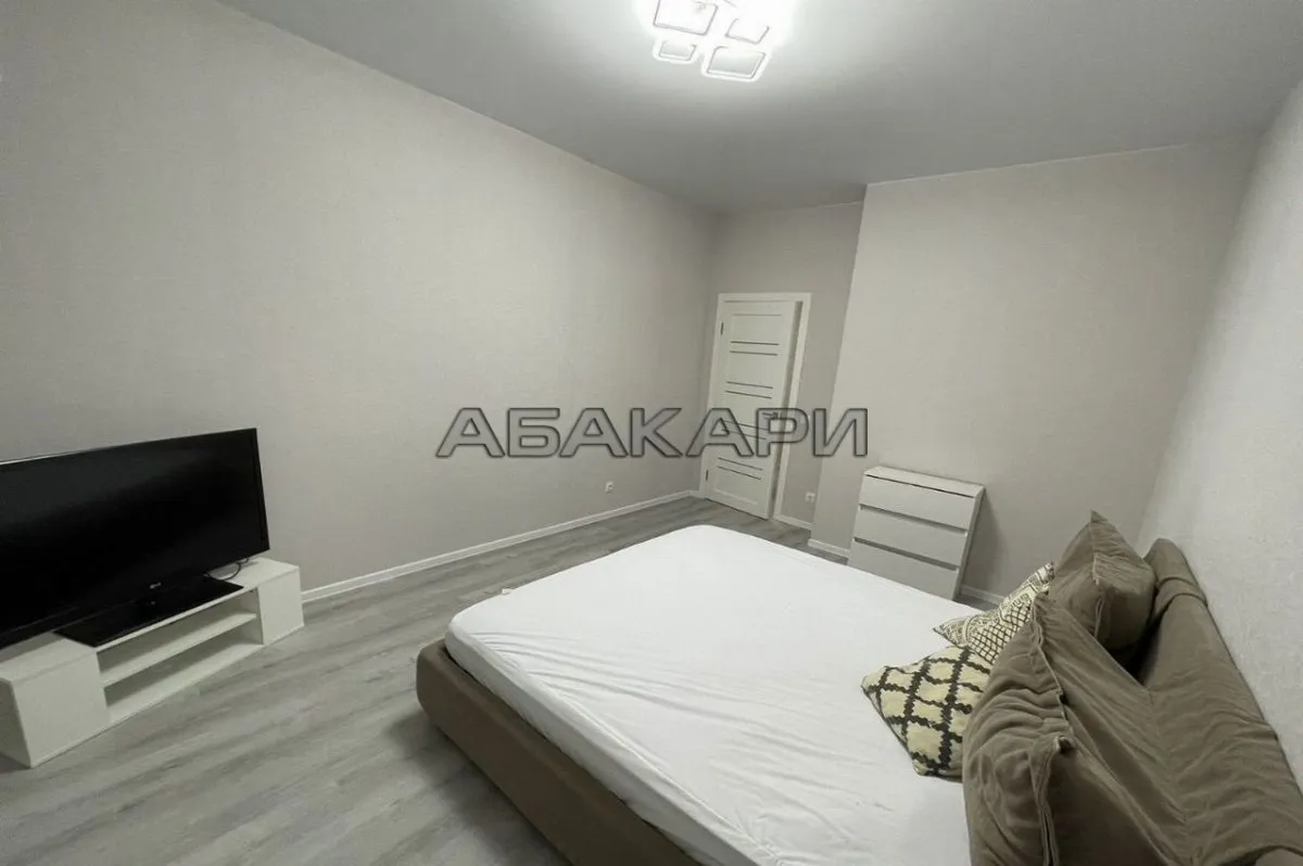 1-комнатная Южная набережная, 12  за 40000 руб/мес фото 3