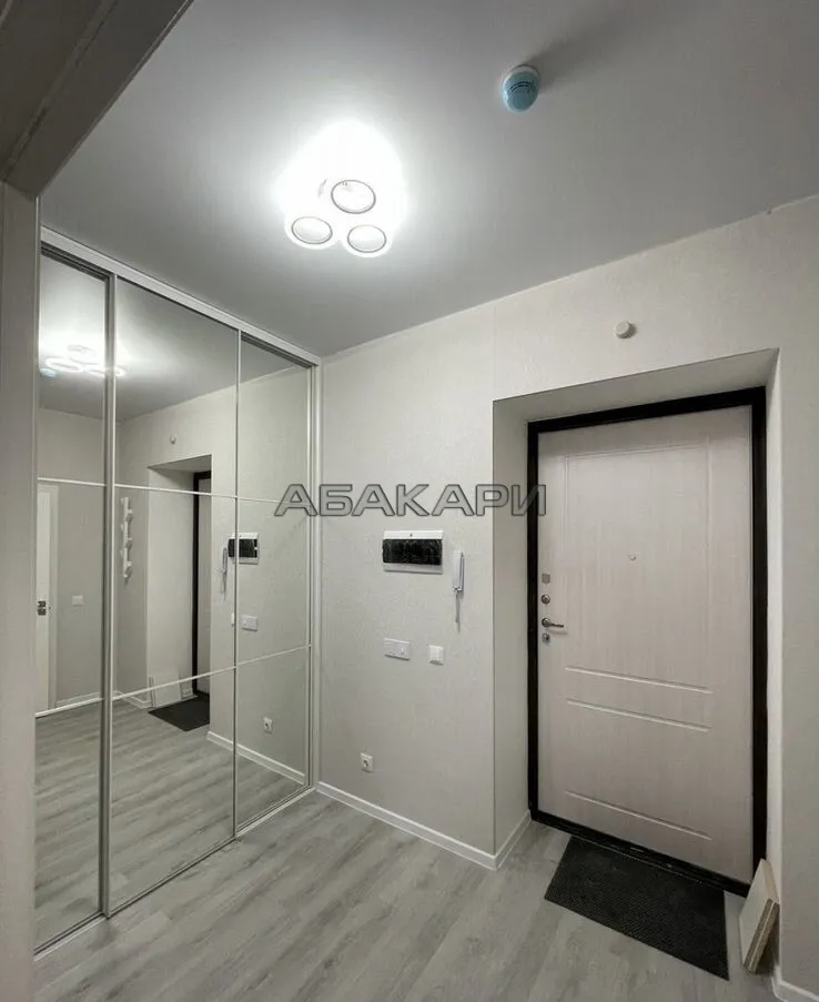 1-комнатная Южная набережная, 12  за 40000 руб/мес фото 5