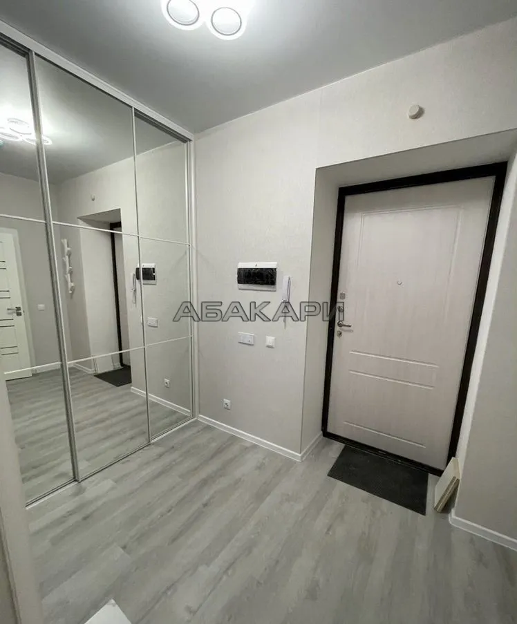 1-комнатная Южная набережная, 12  за 40000 руб/мес фото 6