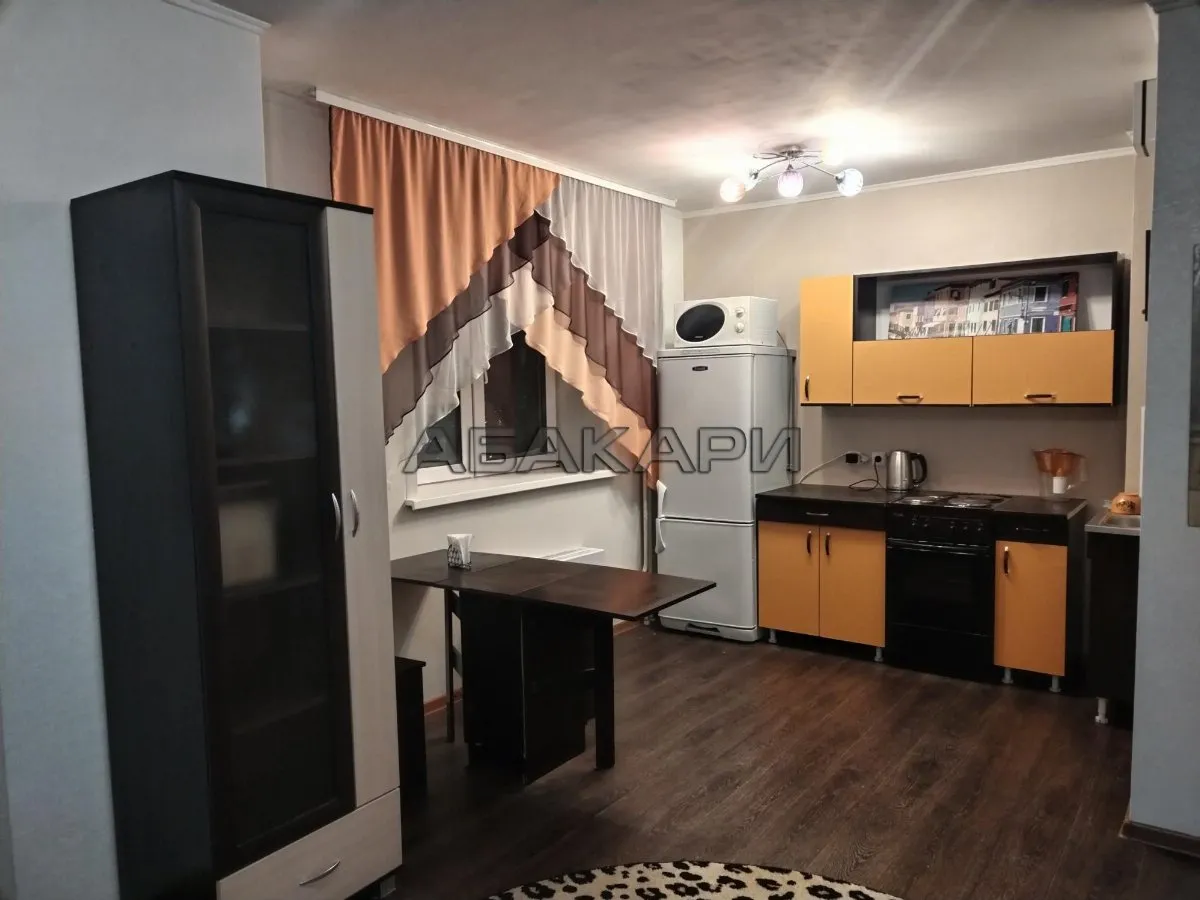 студия улица Любы Шевцовой, 88  за 27000 руб/мес фото 3