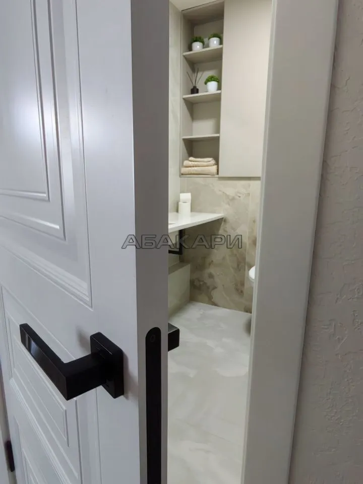 2-комнатная Соколовская улица, 20А  за 40000 руб/мес фото 12