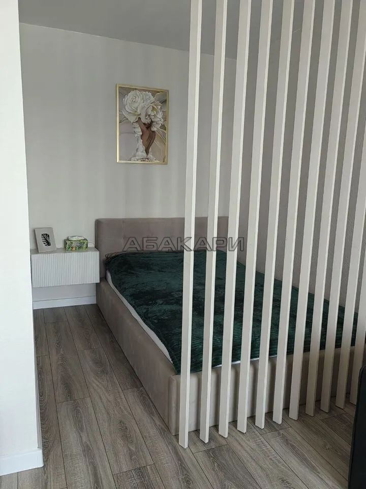 2-комнатная Соколовская улица, 20А  за 40000 руб/мес фото 9