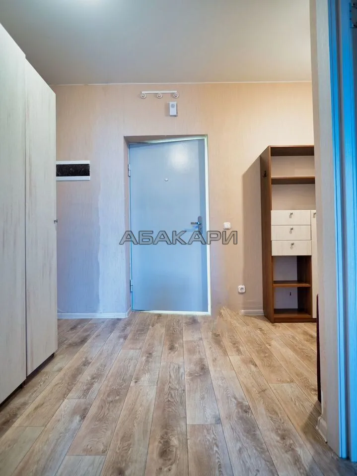 1-комнатная улица Петра Подзолкова, 24  за 35000 руб/мес фото 15