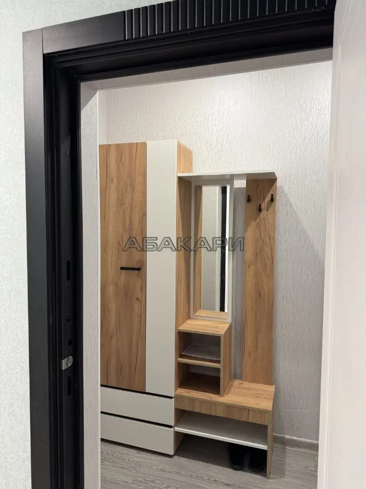 1-комнатная Свердловская улица, 6Е  за 30000 руб/мес фото 8