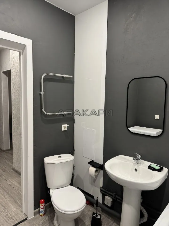 1-комнатная Свердловская улица, 6Е  за 30000 руб/мес фото 10