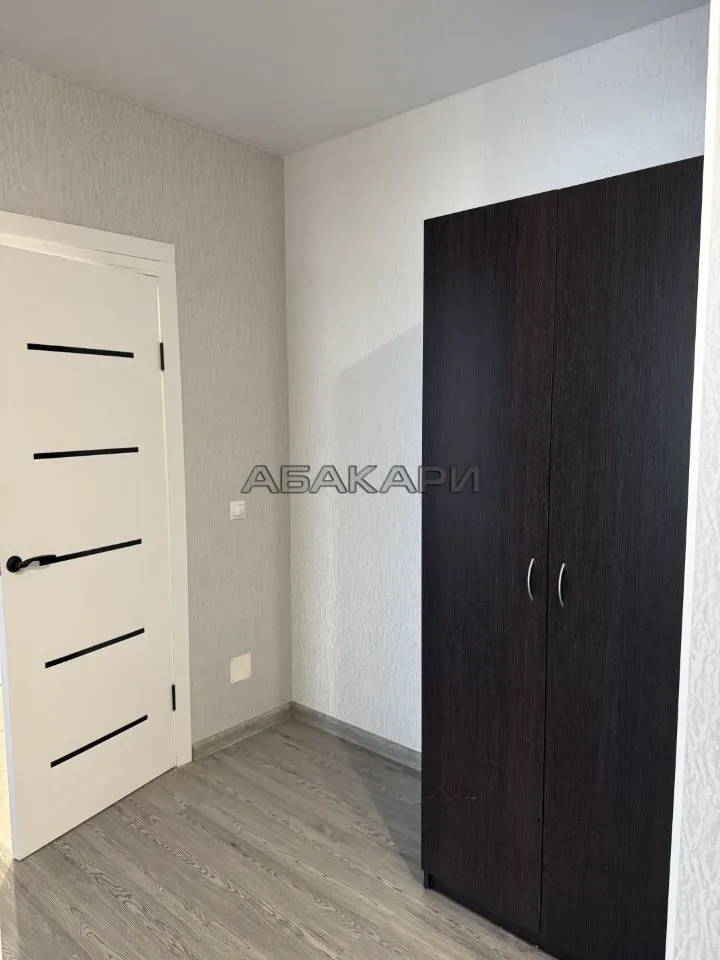 1-комнатная Свердловская улица, 6Е  за 30000 руб/мес фото 12