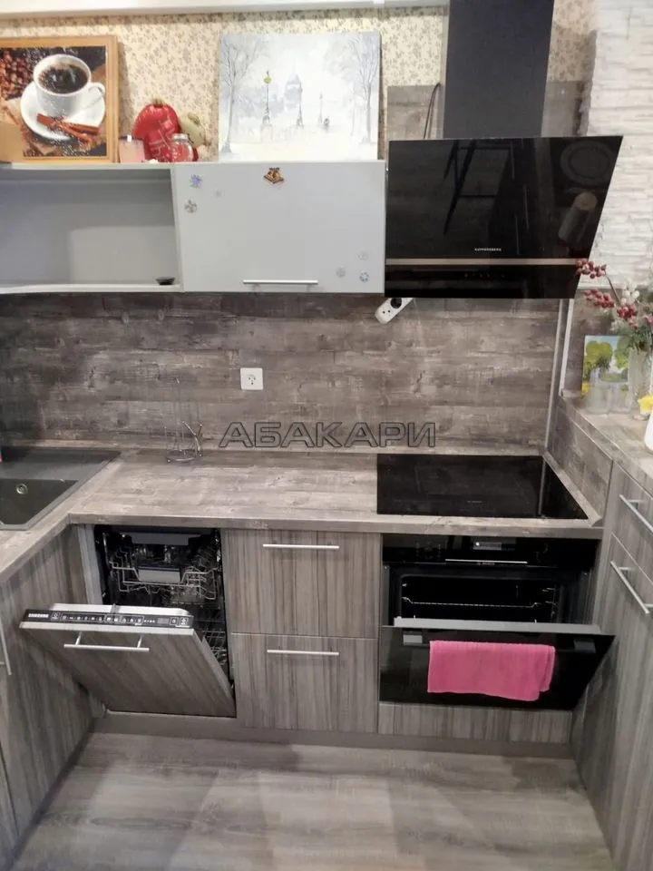 студия Соколовская улица, 78  за 25000 руб/мес фото 7