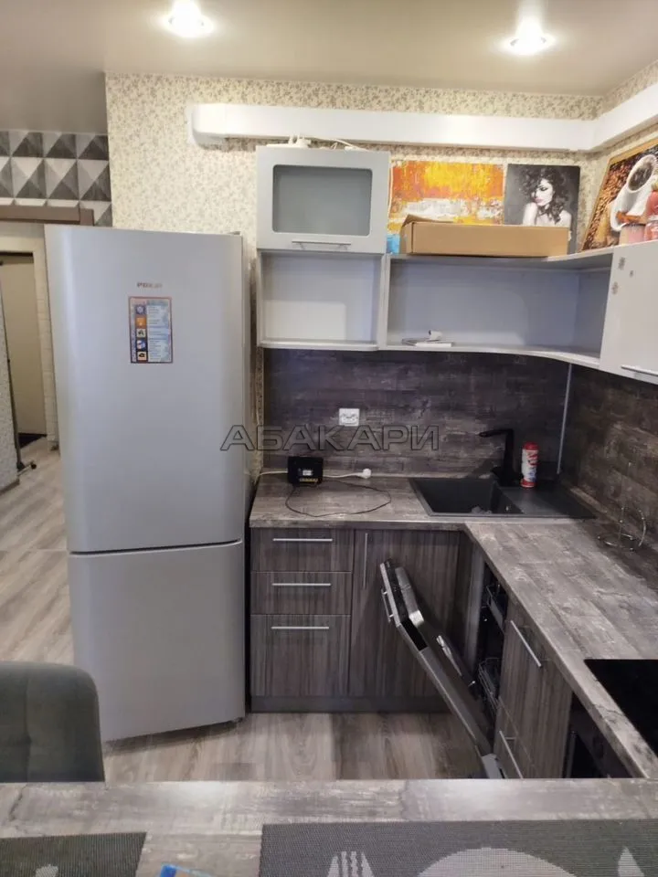 студия Соколовская улица, 78  за 25000 руб/мес фото 8