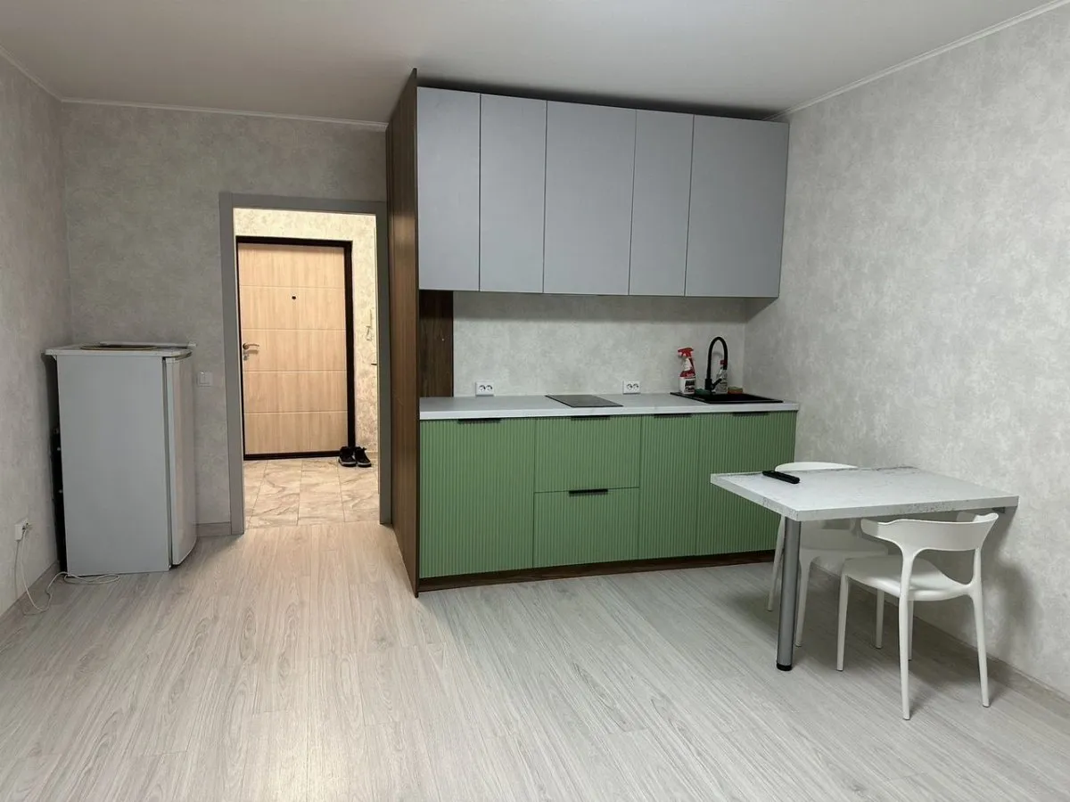 студия Дудинская улица, 2Е  за 35000 руб/мес фото 3