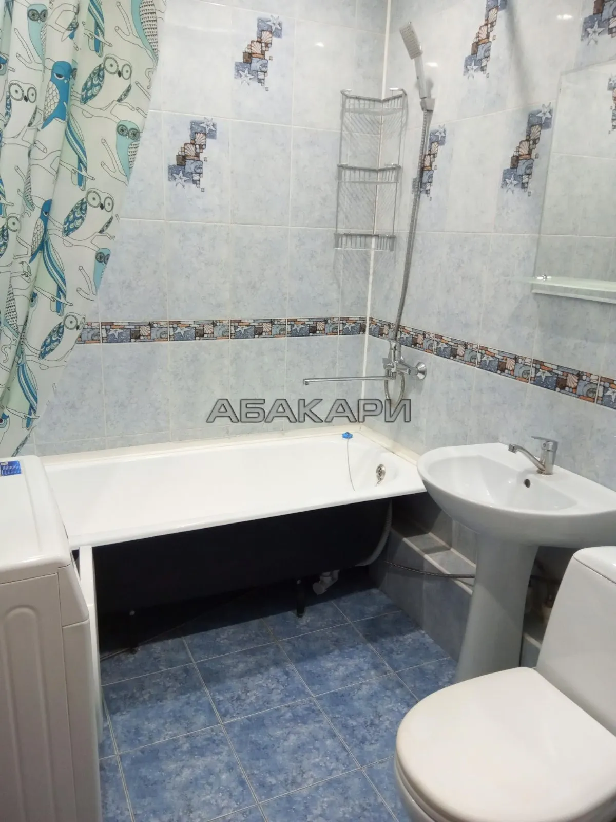 1-комнатная Свободный проспект, 72А за 31000 руб/мес фото 5 1-комнатная Свободный проспект, 72А за 31000 руб/мес фото 5