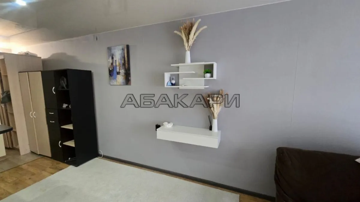 студия Светлогорский переулок, 4  за 28000 руб/мес фото 2