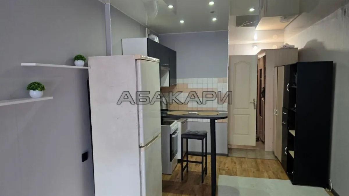 студия Светлогорский переулок, 4  за 28000 руб/мес фото 5