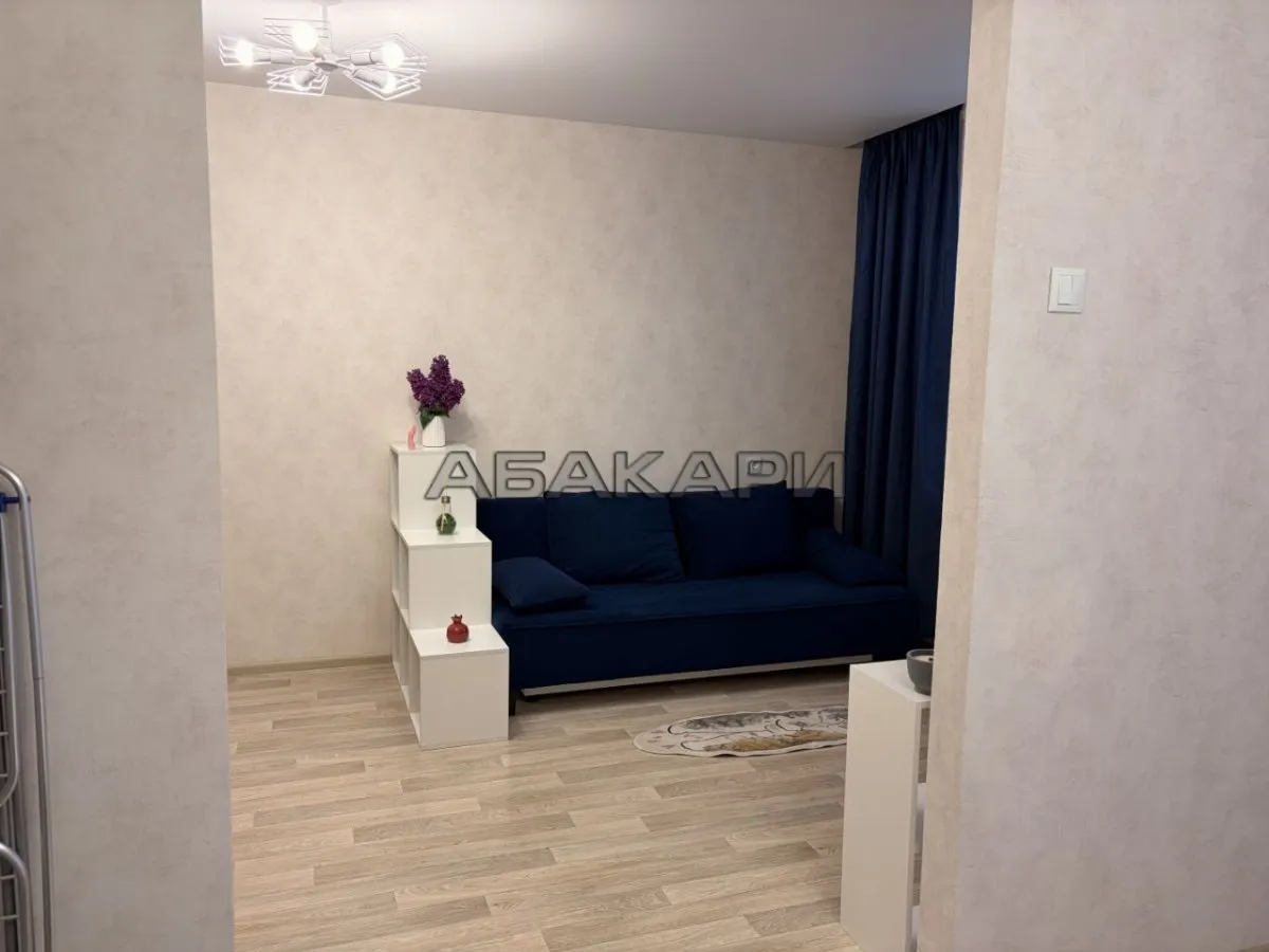 1-комнатная улица Спандаряна, 1Б за 34000 руб/мес фото 4 1-комнатная улица Спандаряна, 1Б за 34000 руб/мес фото 4