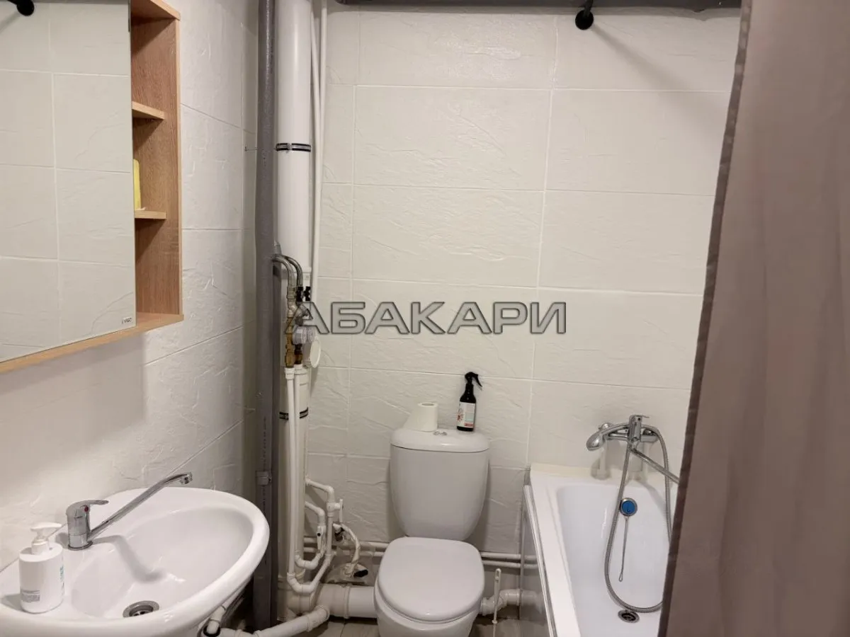 1-комнатная улица Спандаряна, 1Б за 34000 руб/мес фото 9 1-комнатная улица Спандаряна, 1Б за 34000 руб/мес фото 9