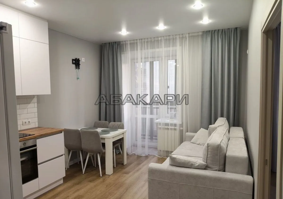 1-комнатная Южная набережная, 6  за 45000 руб/мес фото 2