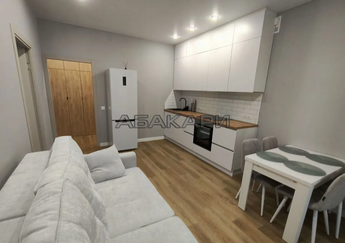 1-комнатная Южная набережная, 6  за 45000 руб/мес фото 1